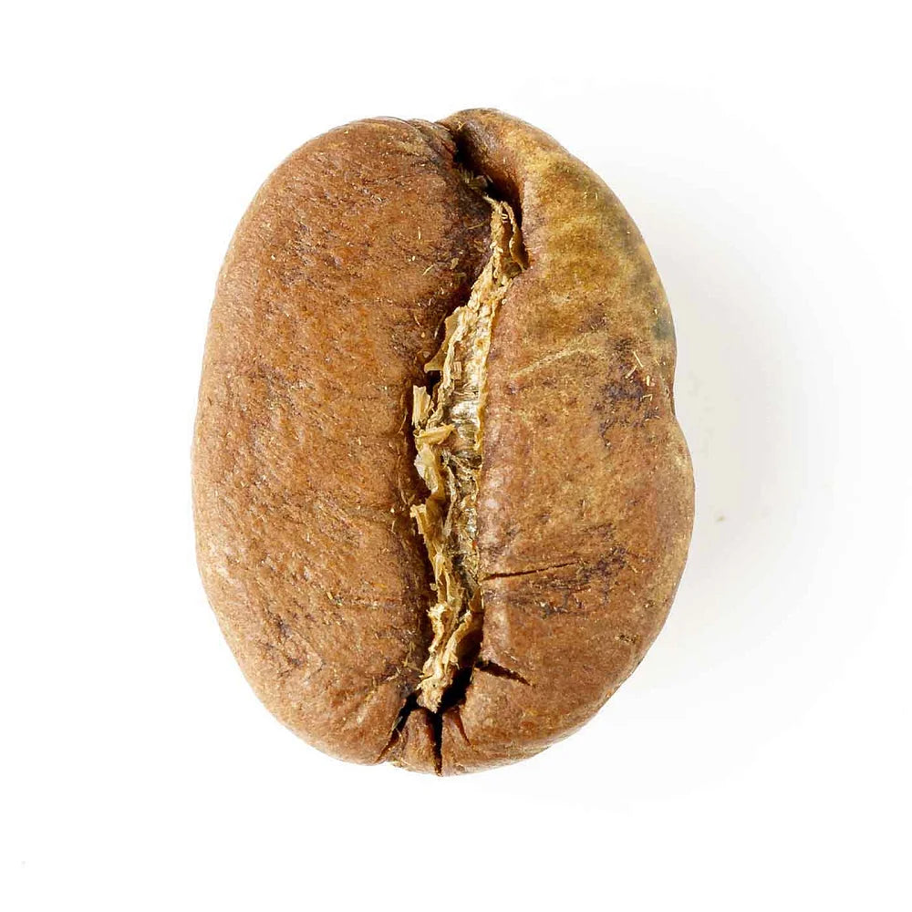 Copán Reserve Mountain Coffee