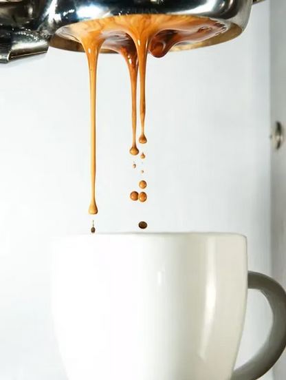 Premium Barista Training Course (Certification Program)