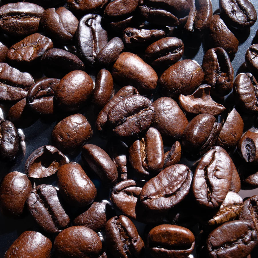 Midnight Origin Dark Roast