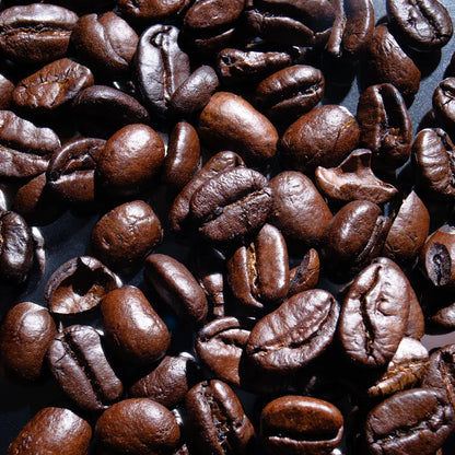 Midnight Origin Dark Roast