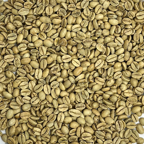 Monsoon Gold Malabar Reserve