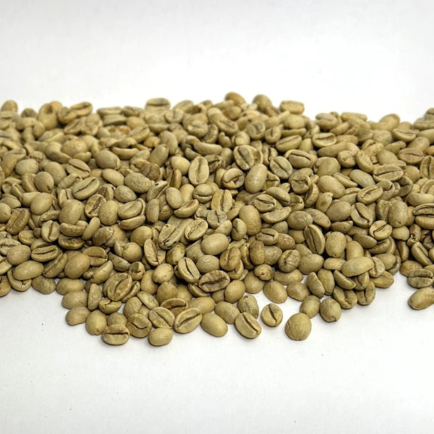 Monsoon Gold Malabar Reserve