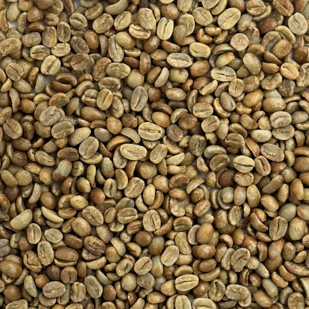 Marcala Honey Blossom Reserve