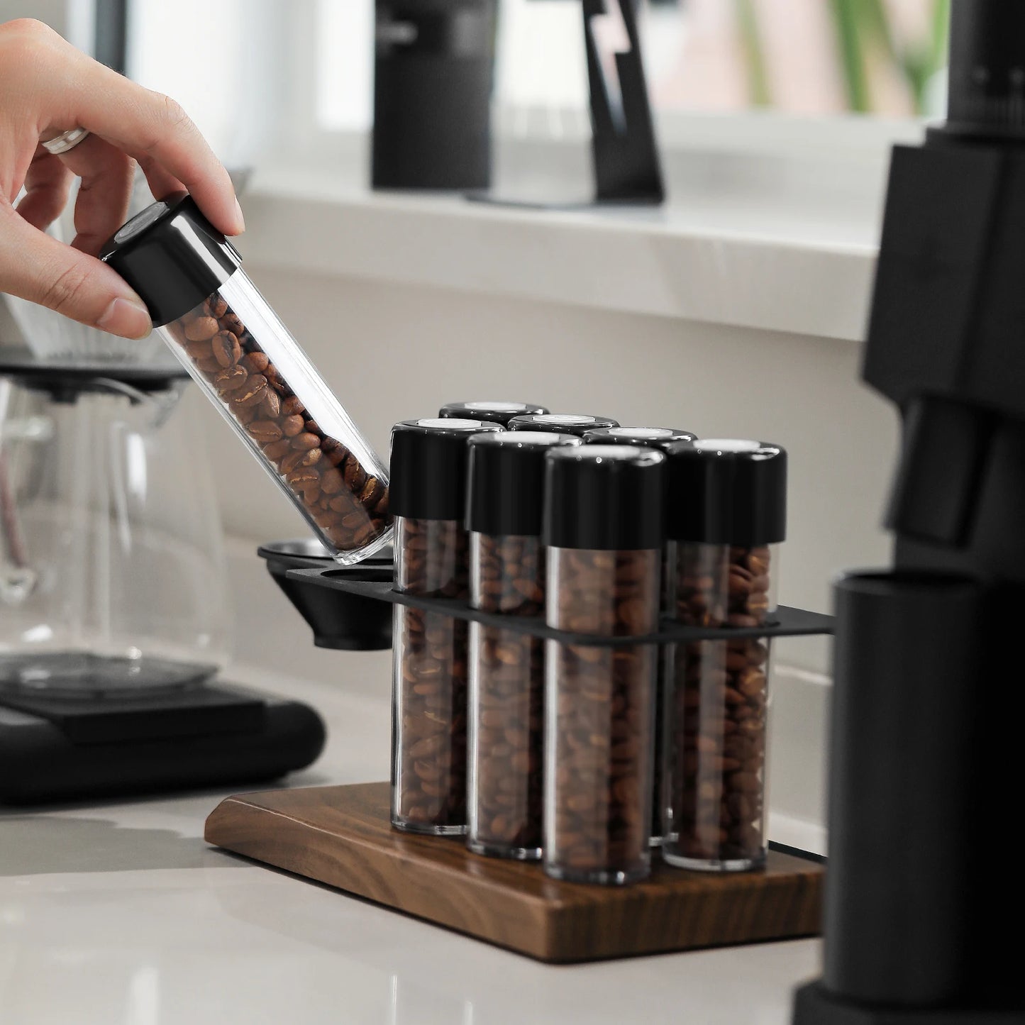 Precision Bean Cellar Set